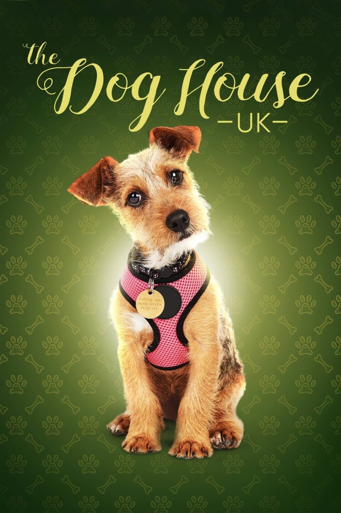 The Dog House Season 9 (Episode 1 – 4 Added)